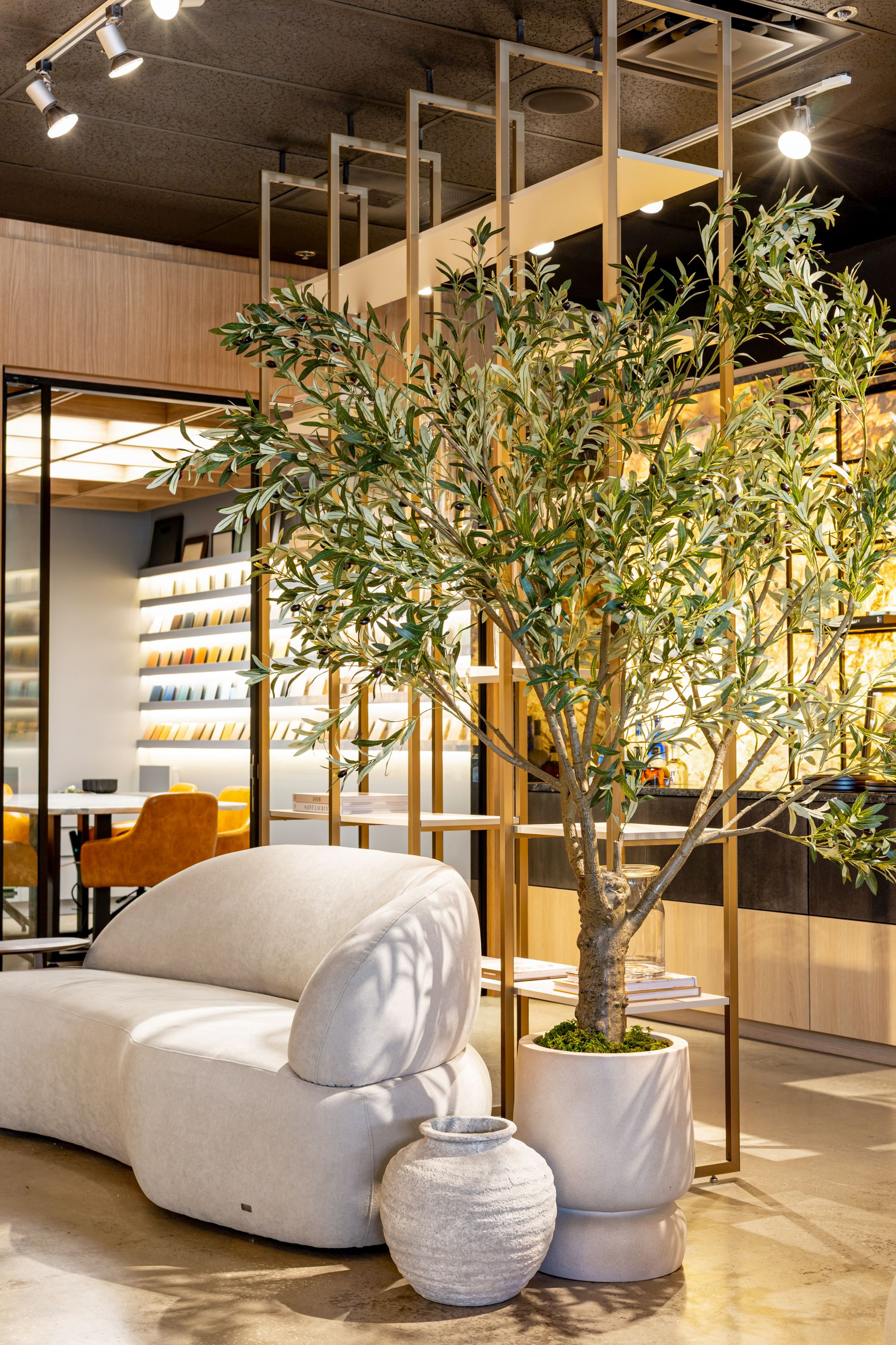 Olive tree and sculptural sofa in the WDB Design Center